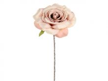 Harmony Rose #2685524 picture (Landscape Medium)