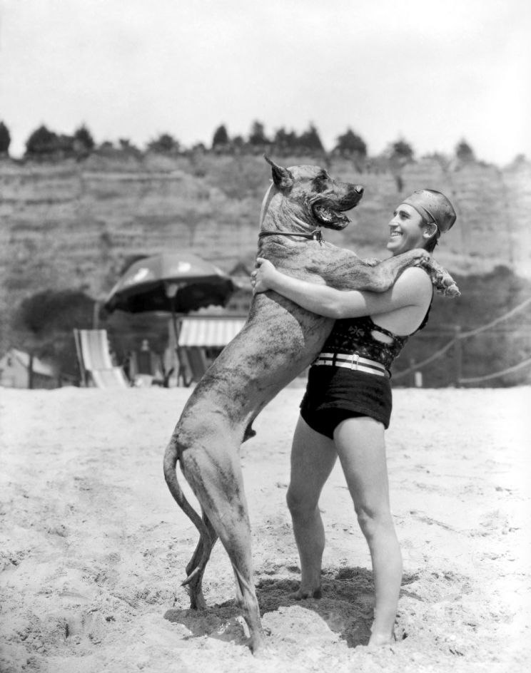 Harold Lloyd