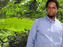 Harold Perrineau