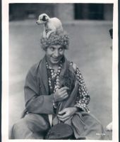 Harpo Marx