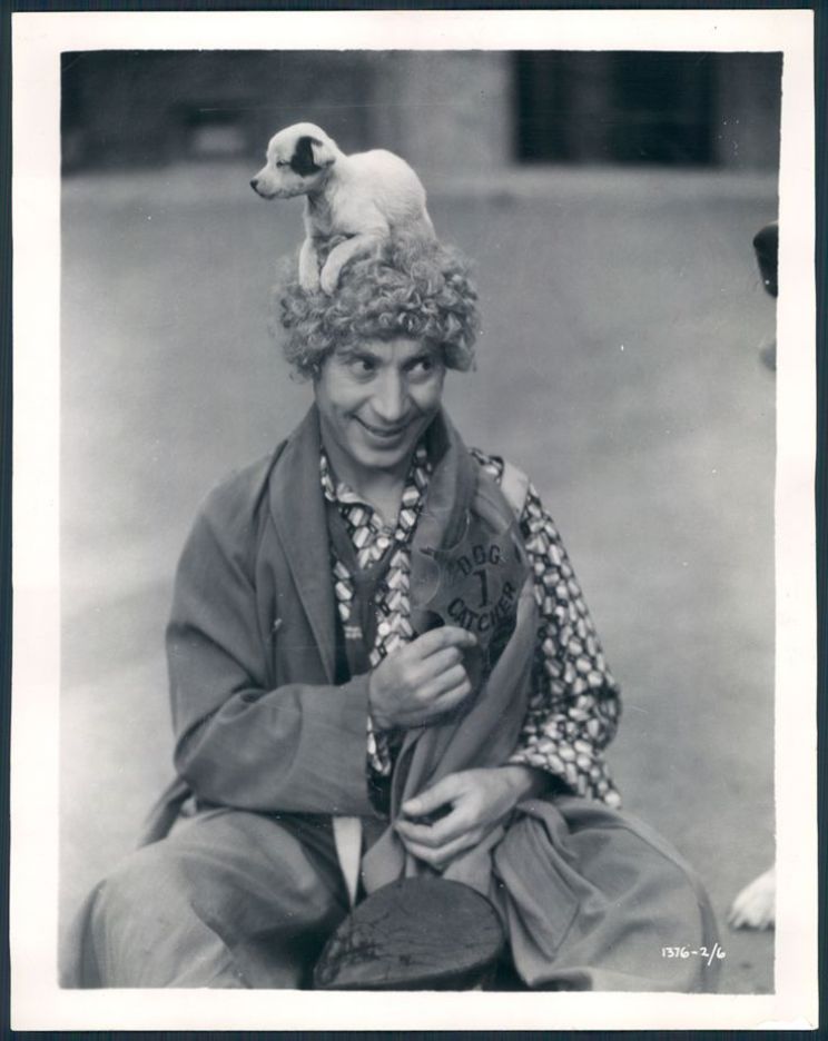 Harpo Marx