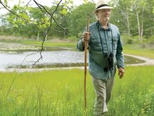 Harris Yulin
