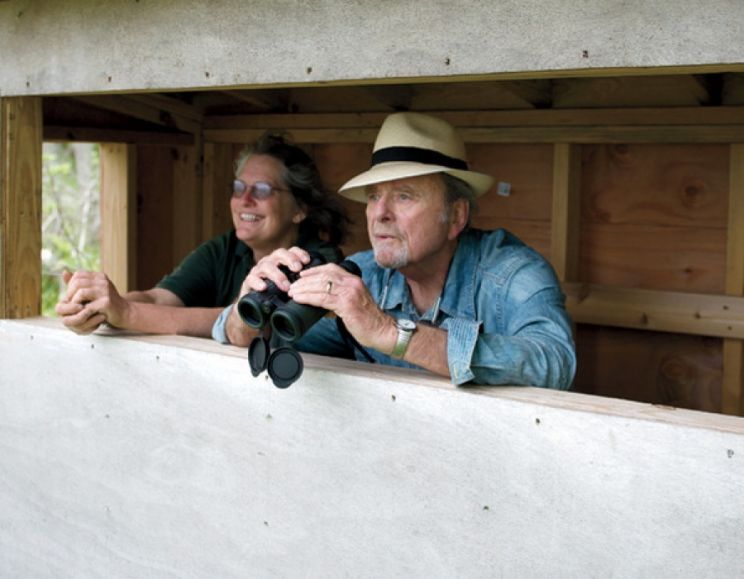 Harris Yulin