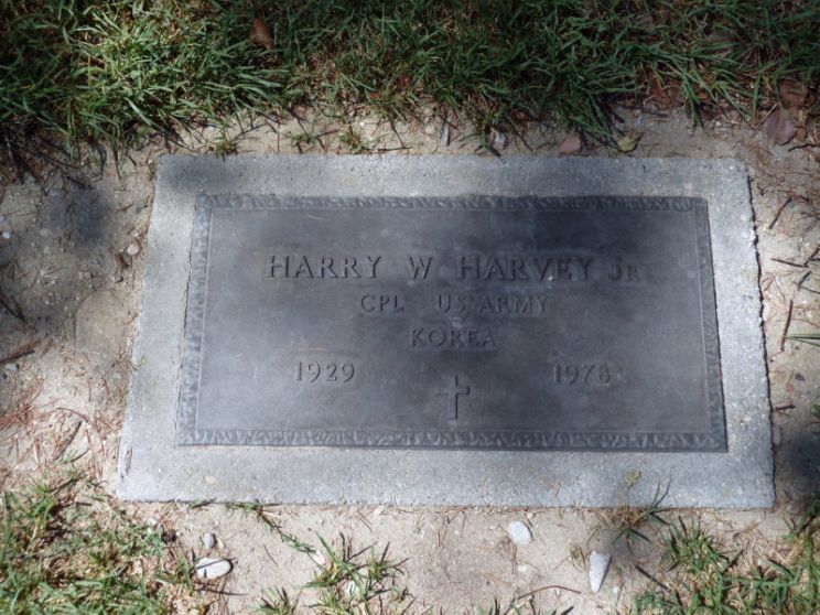 Harry Harvey