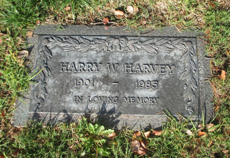 Harry Harvey