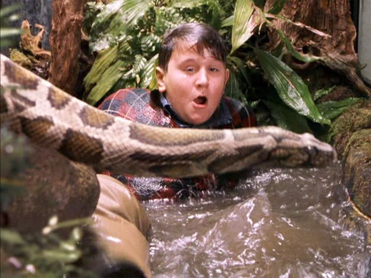 Harry Melling