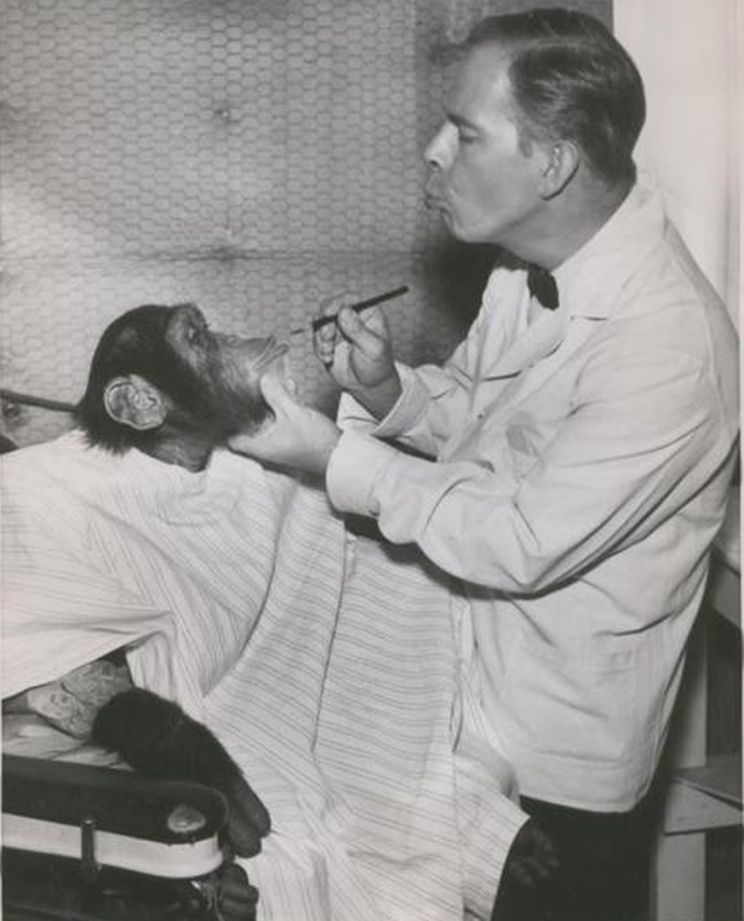 Harry Morgan