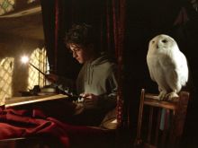 Harry Potter