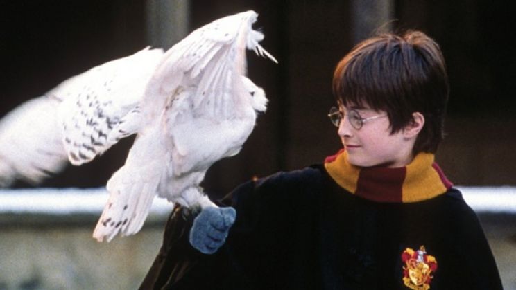 Harry Potter