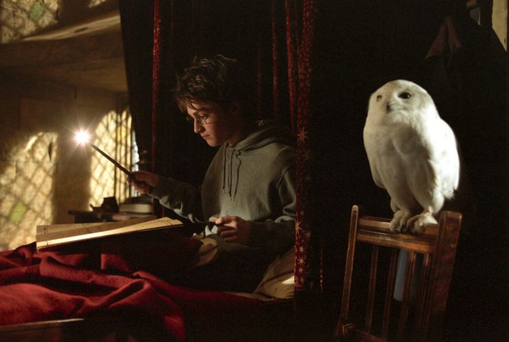 Harry Potter