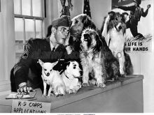 Harvey Lembeck