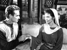 Haya Harareet