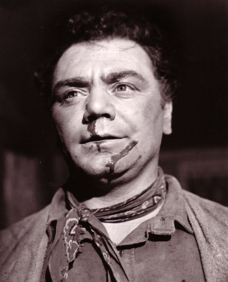 Hayden Rorke