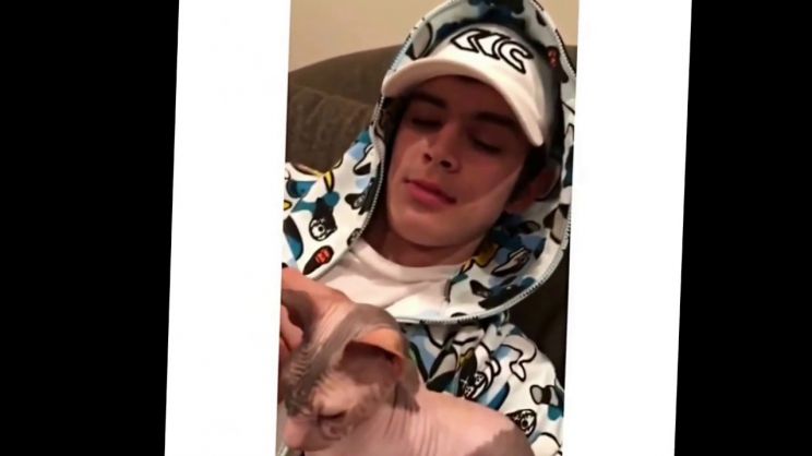 Hayes Grier