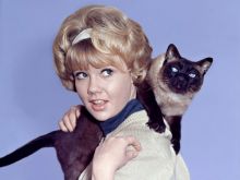 Hayley Mills