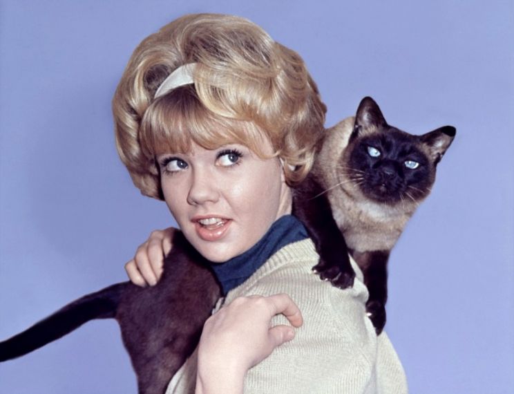 Hayley Mills