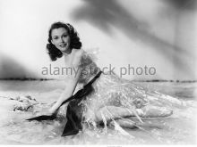 Hazel Court