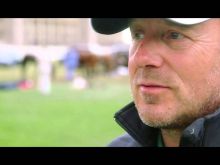 Heino Ferch