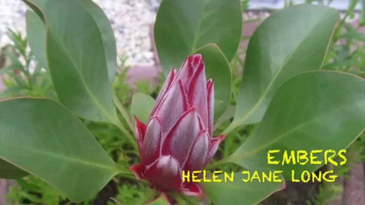 Helen Jane Long