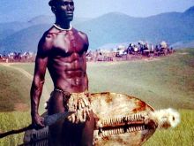 Henry Cele photo