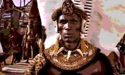 Henry Cele