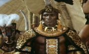 Henry Cele