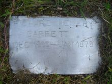 Henry Garrett #1144022 picture (Landscape Medium)