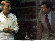 Henry Gibson