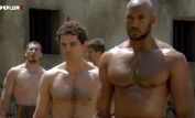 Henry Simmons