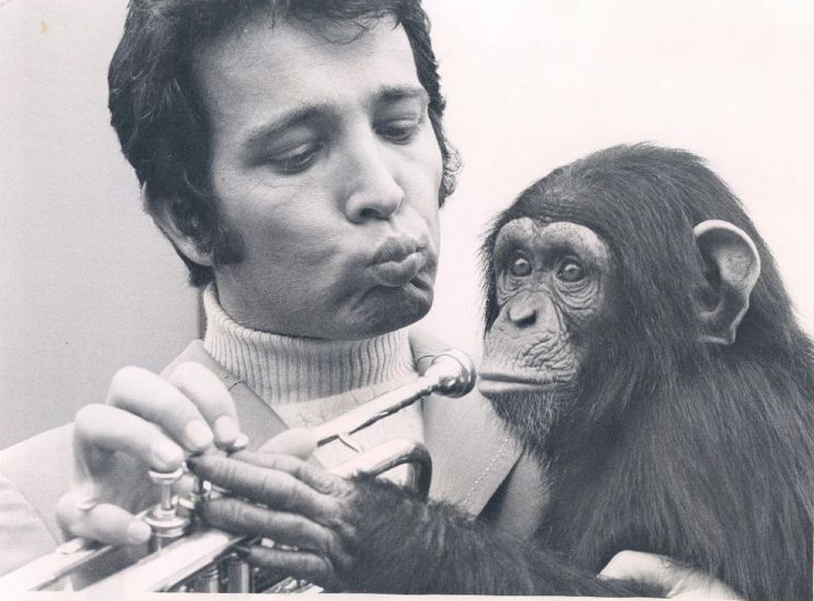 Herb Alpert