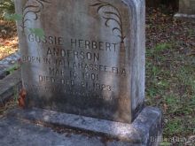 Herbert Anderson