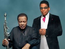 Herbie Hancock