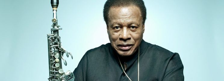 Herbie Hancock
