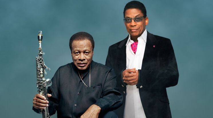 Herbie Hancock
