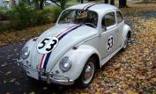 Herbie The Love Bug
