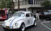 Herbie The Love Bug