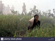 Hiep Thi Le photo