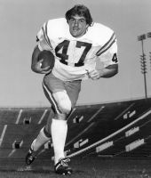 Hokie Gajan