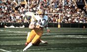 Hokie Gajan