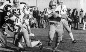 Hokie Gajan