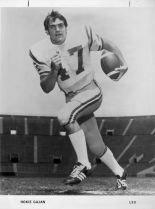 Hokie Gajan