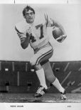 Hokie Gajan