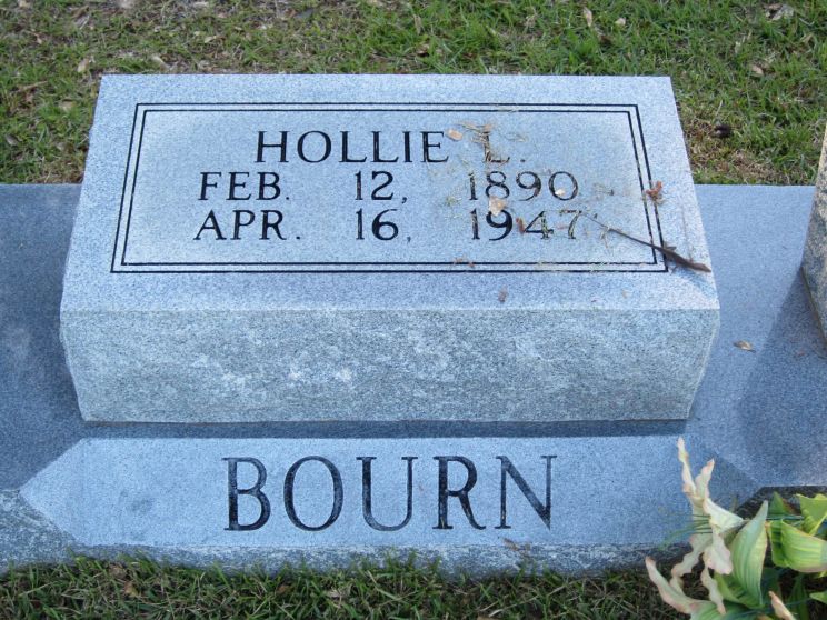 Hollie Lee