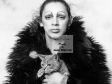 Holly Woodlawn