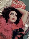 Holly Woodlawn