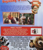 Honey Bump Bear