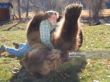 Honey Bump Bear