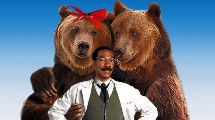 Honey Bump Bear