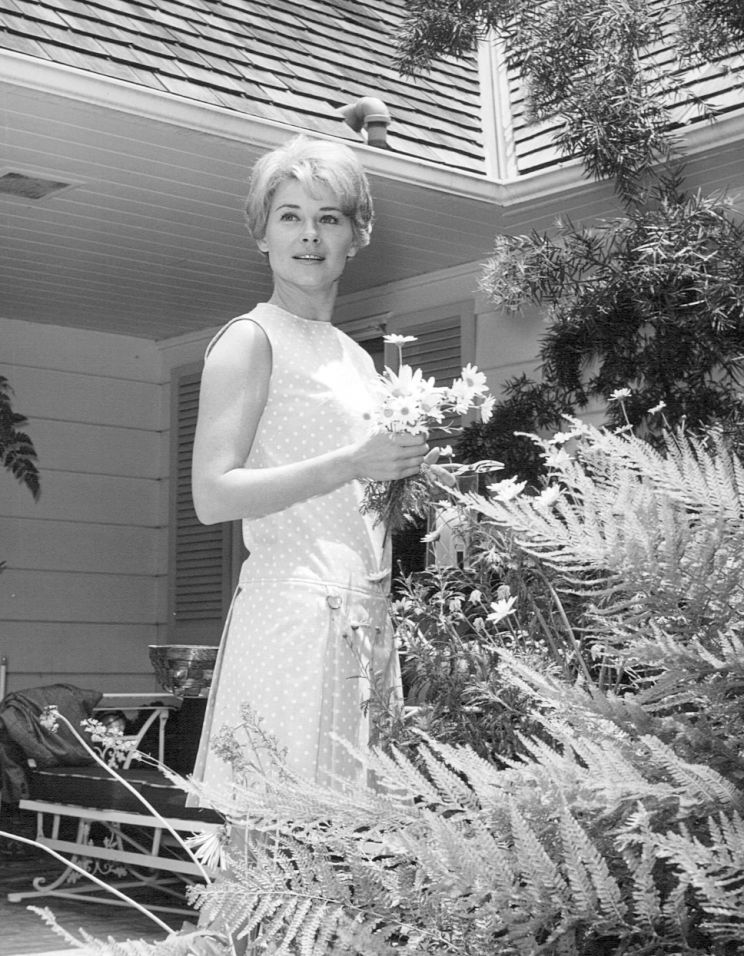 Hope Lange