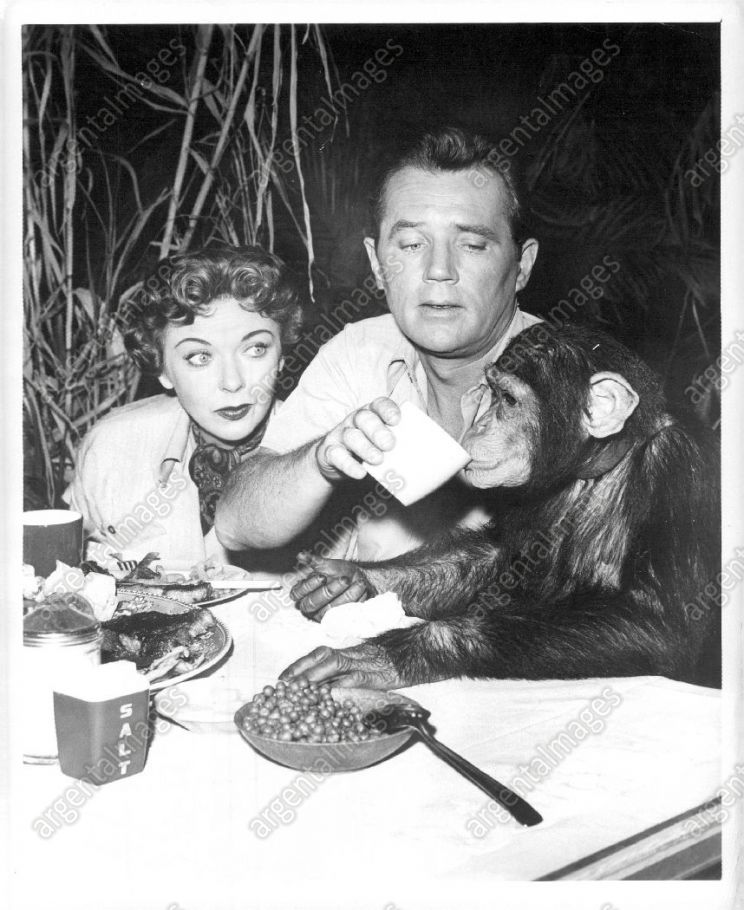 Howard Duff